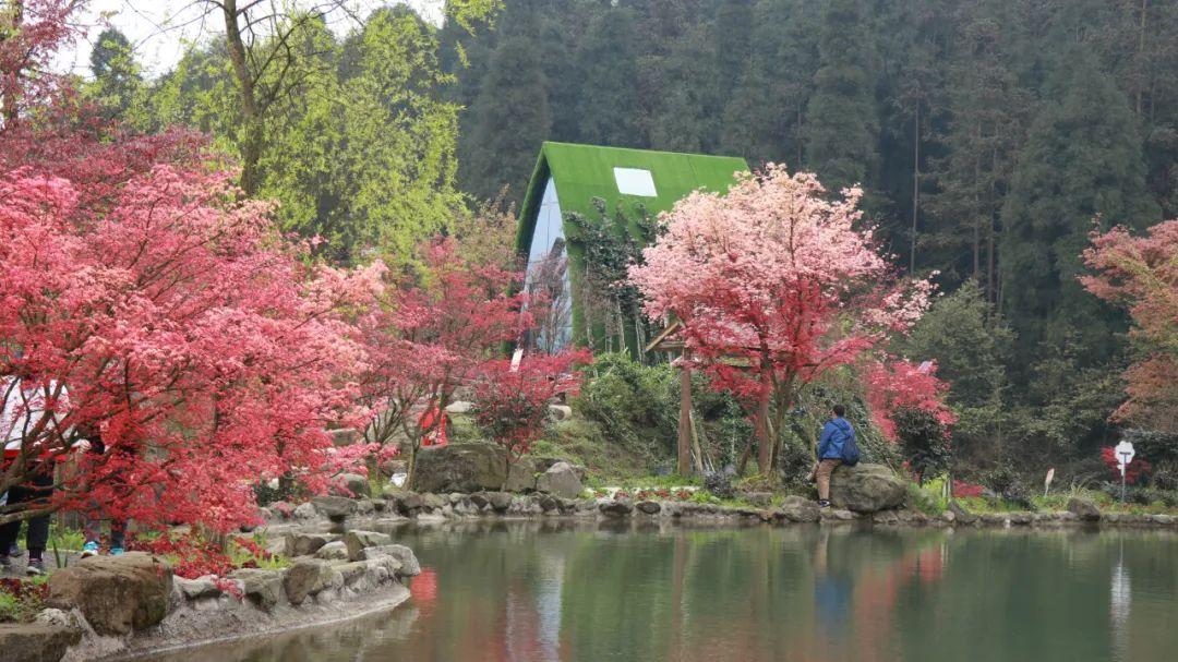 穿龙袍、骑神兽、吃霸王餐,逆水寒玩家已经拽到天上去了